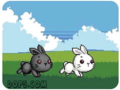 Bu Bunny Two Rabbit