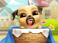My Cute Puppy Grooming 3D