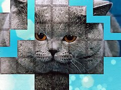 PicPu - Cat Puzzle
